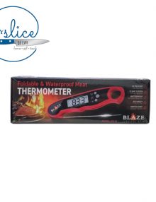 Blaze Thermometer Pen (2)