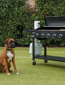 Gasmate Caterer 6 Burner BBQ (2)
