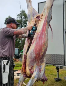 Carnivore Collective Reciprocating Saw Blades (2)